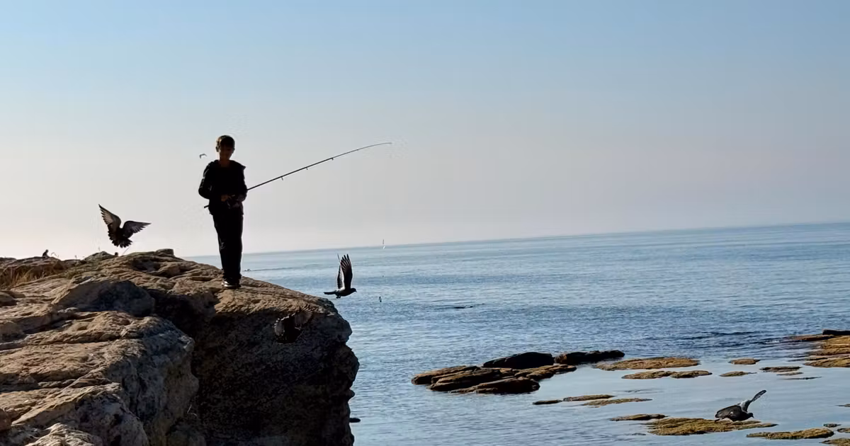 La mer Caspienne recule : des terres émergent là où l’eau était présente.