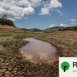 La forêt amazonienne pourrait perdre deux tiers de sa surface avec 1,5 °C de réchauffement climatique.