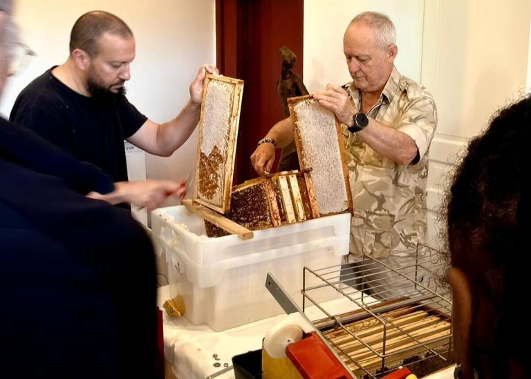 Ateliers d&rsquo;apiculture organisés par une association en Seine-et-Marne pour sensibiliser le public.