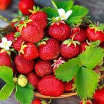 « Diététicienne révèle 5 super-aliments recommandés en mai, le n°5 suscite des débats »