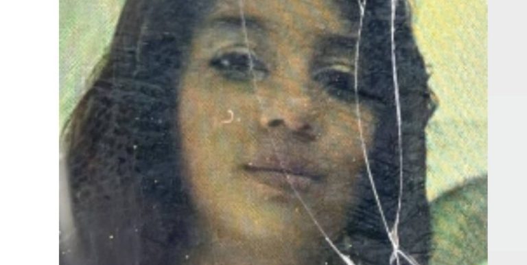 Disparition d&rsquo;Iléana, 10 ans : appel à témoins lancé par la police à Ivry-sur-Seine