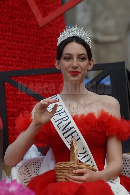 Carnaval de Ploërmel 2026 : Une 100ème édition mémorable
