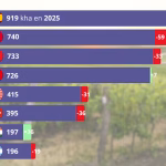 Surfaces, consommation, export : la dégringolade mondiale du vin en trois graphiques