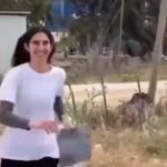 Libération de Layan Nasser, étudiante à l&rsquo;université de Birzeit, par les autorités israéliennes.
