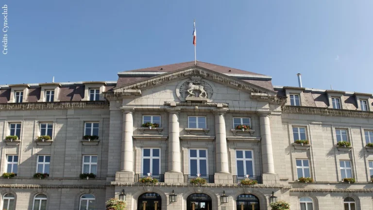 Le granit bleu de l&rsquo;hôtel de ville de Guéret, témoin de mille ans d&rsquo;histoire creusoise