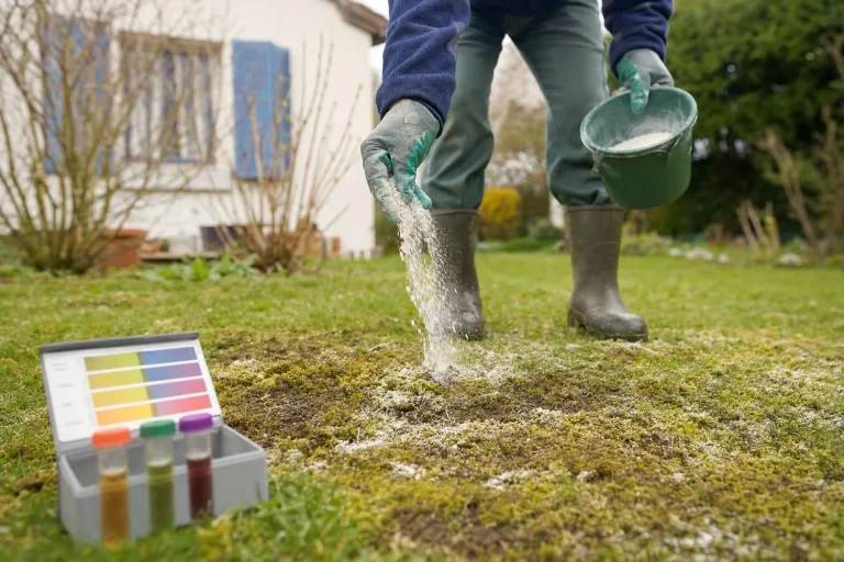 Mets de la chaux, ça a toujours marché : le test de pH pour votre pelouse