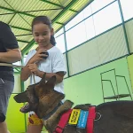 Moorea : des enfants sensibilisés au comportement canin pour une cohabitation responsable