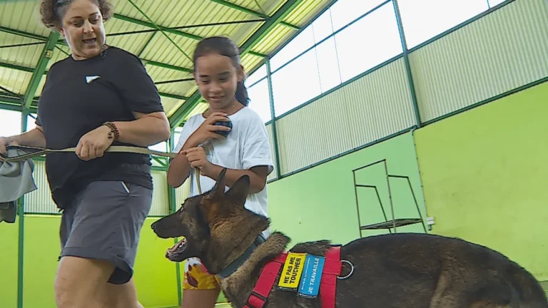 Moorea : des enfants sensibilisés au comportement canin pour une cohabitation responsable