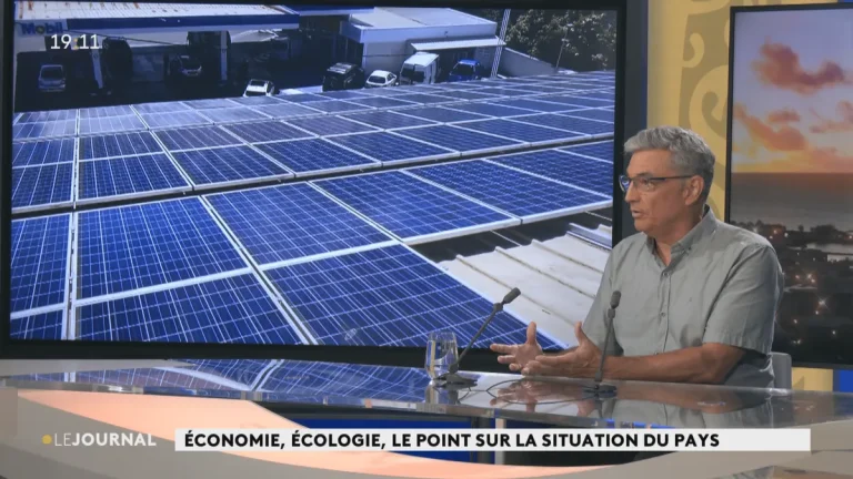 Solaire et pétrole : Florent Venayre analyse les contradictions de la politique énergétique française.