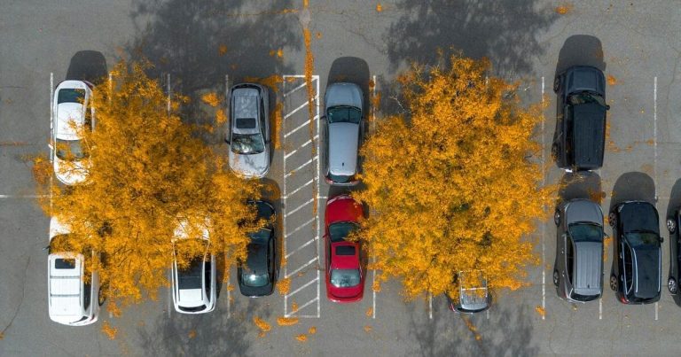 Nozay : un nouveau parking inauguré sur l&rsquo;ancien site de Terrena