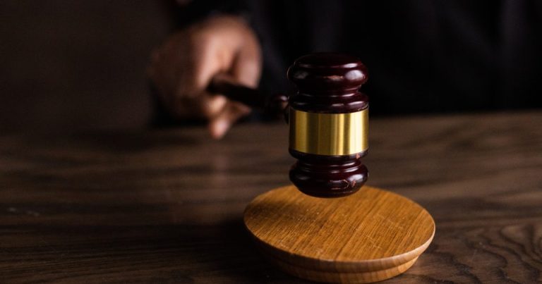 Éleveur condamné à une interdiction à vie de détenir des animaux après avoir jeté un poulain dans un trou.