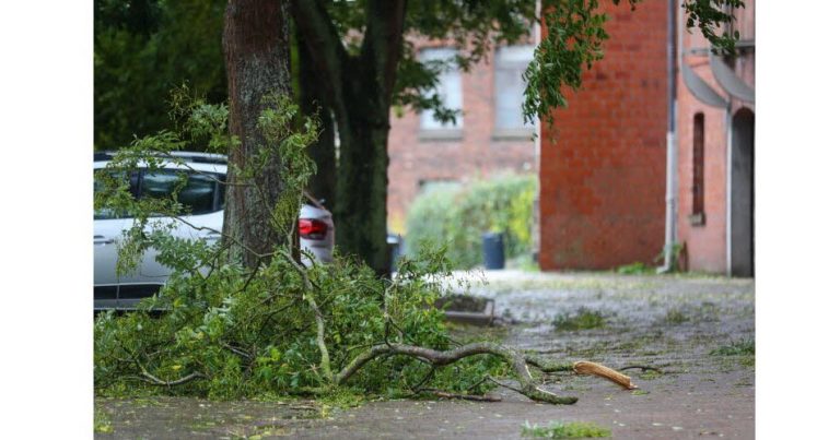 Météo : les tempêtes frappent-elles vraiment plus souvent la nuit que le jour ?