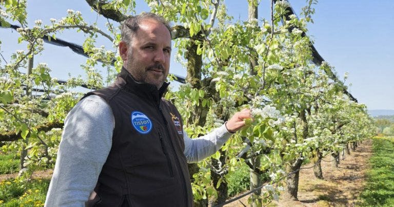 Un arboriculteur haut-savoyard au cœur d’un bad buzz après une vidéo d’Hugo Clément.