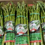 Recettes d&rsquo;asperges en Alsace : diversité des méthodes de préparation disponibles