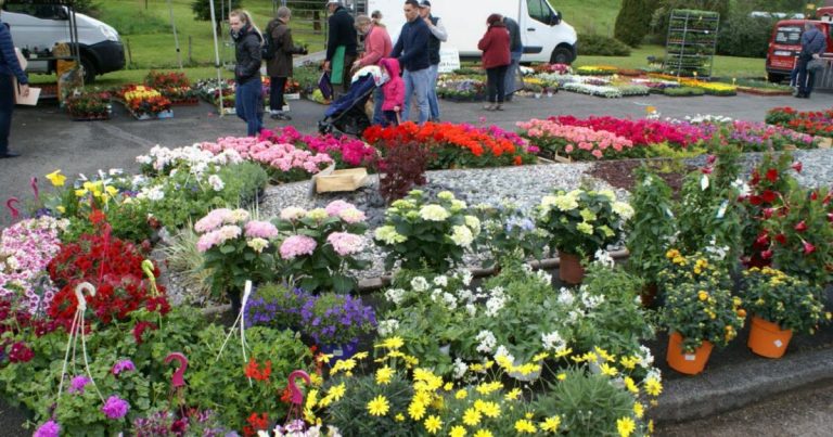 Chenebier : 33e édition de la fête des fleurs et des jardins en France.