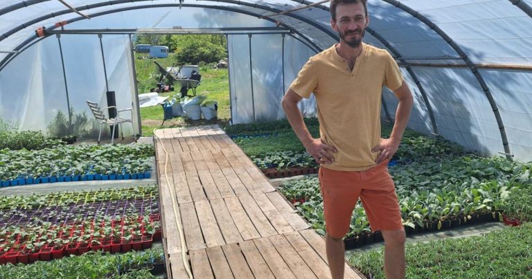 Maxime Mounier lance une pépinière innovante en Haute-Loire axée sur la biodiversité.