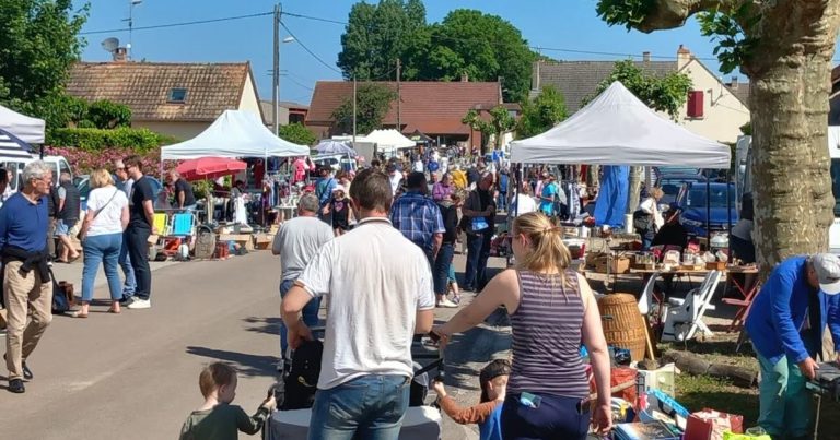 Sorties culturelles et sportives en Bresse pour le week-end du 14-15 octobre 2023.