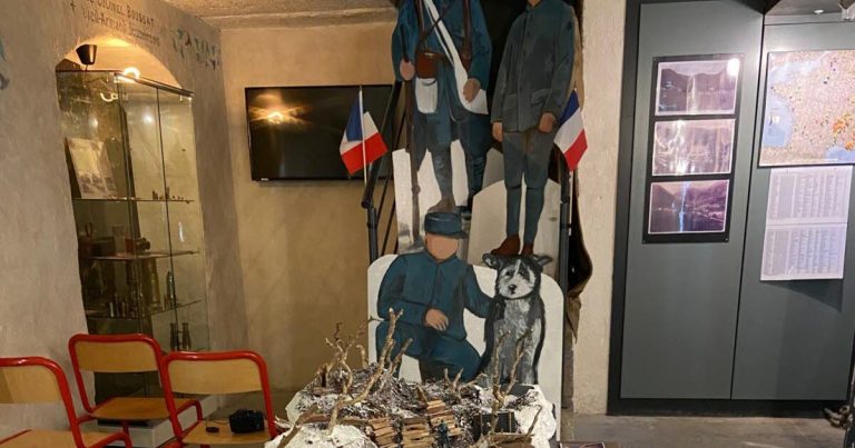 Exposition sur les chiens d&rsquo;Alaska au musée de l&rsquo;Ambulance alpine à Mittlach.