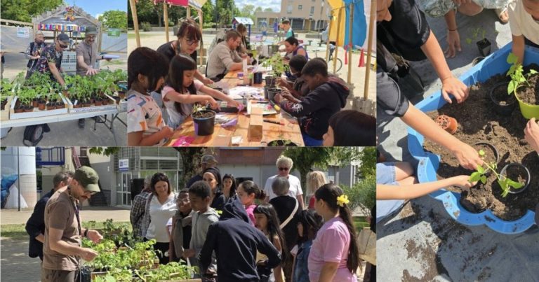 Planoise met en avant l&rsquo;agriculture urbaine avec une nouvelle ferme artistique.