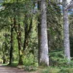 Mobilisation des chasseurs et citoyens pour la protection de la nature dans le Doubs les 15 et 16 mars.