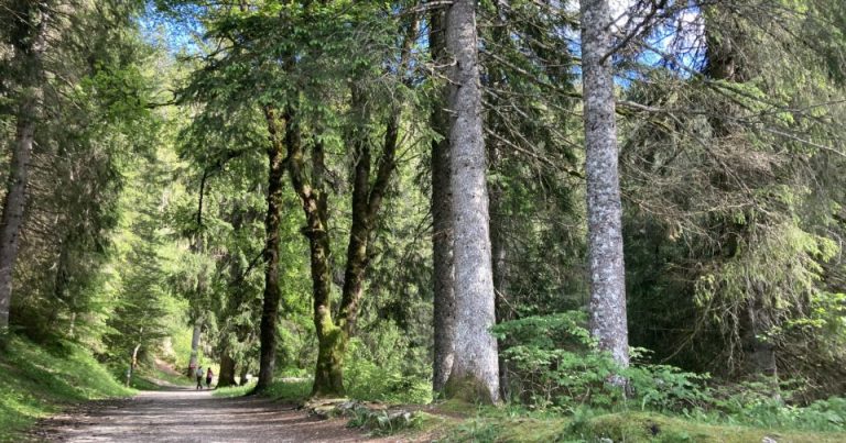 Mobilisation des chasseurs et citoyens pour la protection de la nature dans le Doubs les 15 et 16 mars.