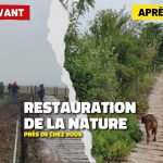 Des associations locales restaurent des espaces naturels en France.