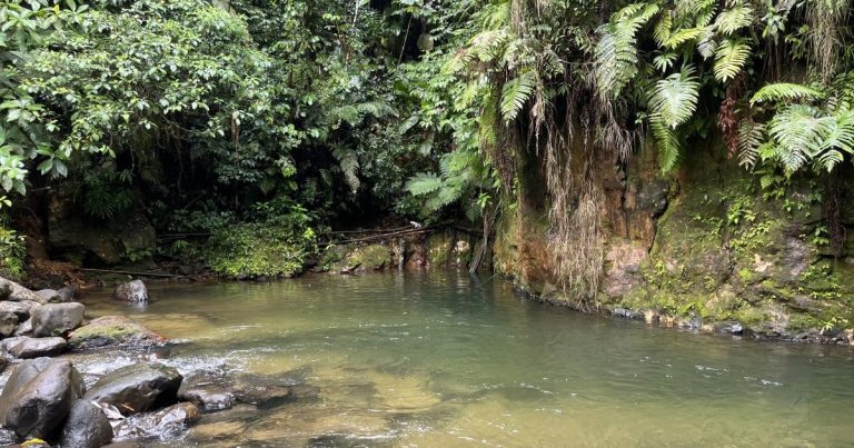 La Martinique passe en alerte sécheresse niveau 2 à partir de ce jeudi.