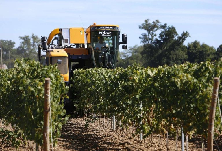 La justice française adapte ses décisions face aux crises des exploitations agricoles.