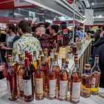 Pineau des Charentes : la viticulture face à des équilibres fragiles en France
