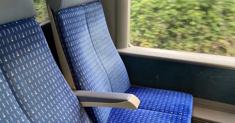Un voleur arrêté en flagrant délit dans un train par des gendarmes et un policier en civil