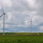 Dérogation sur les espèces protégées complique les projets éoliens en France.