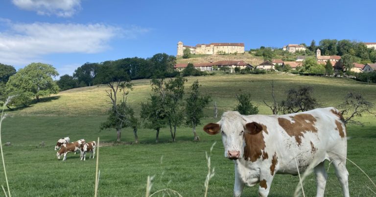 Sentier historique de Belvoir : une randonnée à découvrir ce week-end en France