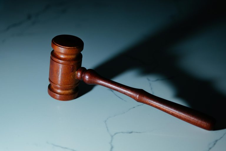 La justice française sanctionne un réseau de trafic international de civelles.