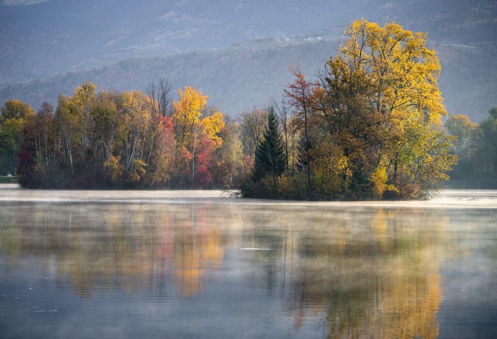lake, nature, autumn, fall, water, water reflection, trees, woods, morning, scenery, scenic, countryside, savoie, grésy-sur-isère, france, lake, autumn, autumn, autumn, autumn, autumn, fall, fall, morning, france, france, Grésy-sur-Isère, France, Auvergne-Rhône-Alpes