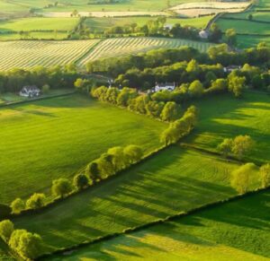 L&rsquo;ADEME publie un panorama complet sur la biomasse en France et ses enjeux pour 2025