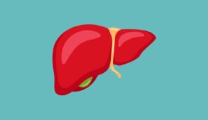 Cirrhose du foie : enjeux de la santé publique et avancées en recherche médicale.