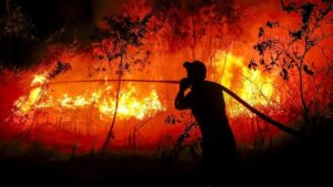Indonésie : Nusantara Atlas estime à 1,92 million d’hectares les zones brûlées en neuf mois