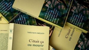 Les éditeurs face à la controverse : l&rsquo;affaire Thélyson Orélien et l&rsquo;impact de l&rsquo;IA sur l&rsquo;écriture.