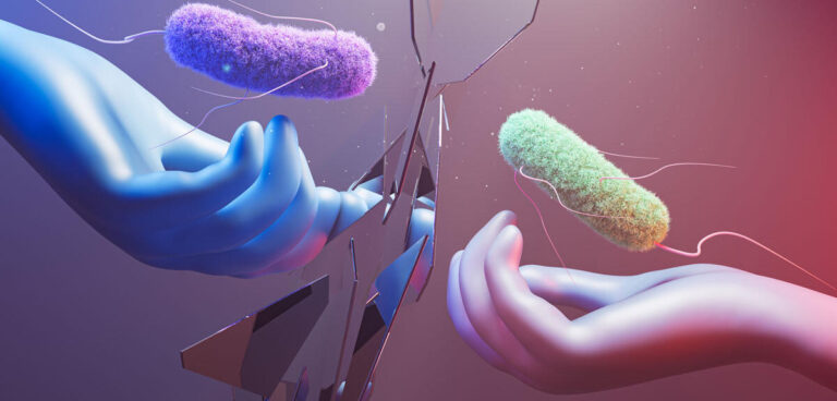 Biologie miroir : des chercheurs alertent sur les risques des cellules miroir