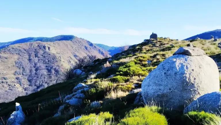 En Sud-Ardèche, l’éco-hameau La Colline recherche des habitants pour son habitat partagé