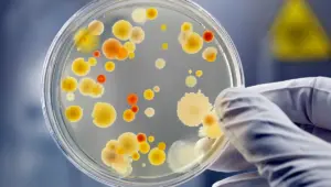 Microbes : pourquoi ils ne sont pas tous des ennemis de notre santé