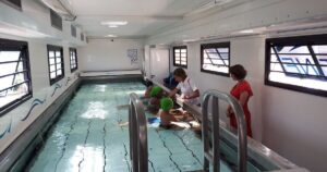 Un camion-piscine à Saint-Pierre-de-Vassols pour aider les enfants à apprendre à nager