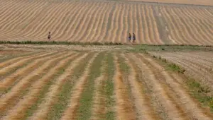 Une sécheresse sans précédent menace l&rsquo;approvisionnement en eau en France malgré des épisodes de pluie exceptionnels.