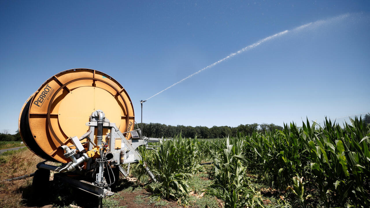 La hausse de 13 % des prix agricoles mondiaux ravive le débat sur l’autonomie alimentaire