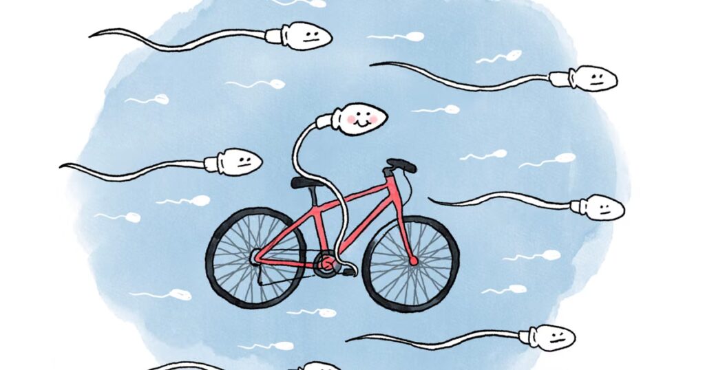 Vélo et fertilité : les effets d’une pratique intensive peuvent varier selon le sexe