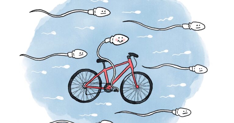 Vélo et fertilité : les effets d’une pratique intensive peuvent varier selon le sexe
