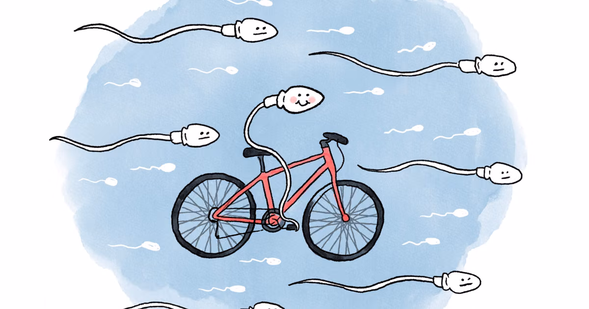 Vélo et fertilité : les effets d’une pratique intensive peuvent varier selon le sexe