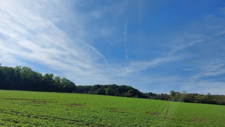 En Belgique, le soleil devrait dominer samedi après-midi malgré quelques nuages passagers