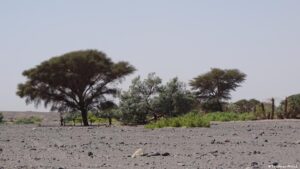 Au Tchad, l’accord de paix contesté à Miski peine à apaiser les tensions autour de l’or