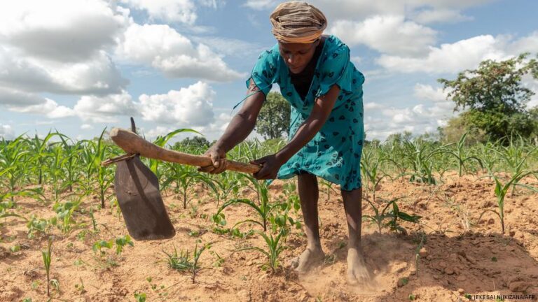 Au Burundi, les agricultrices associent cultures et élevage pour soutenir leurs familles
